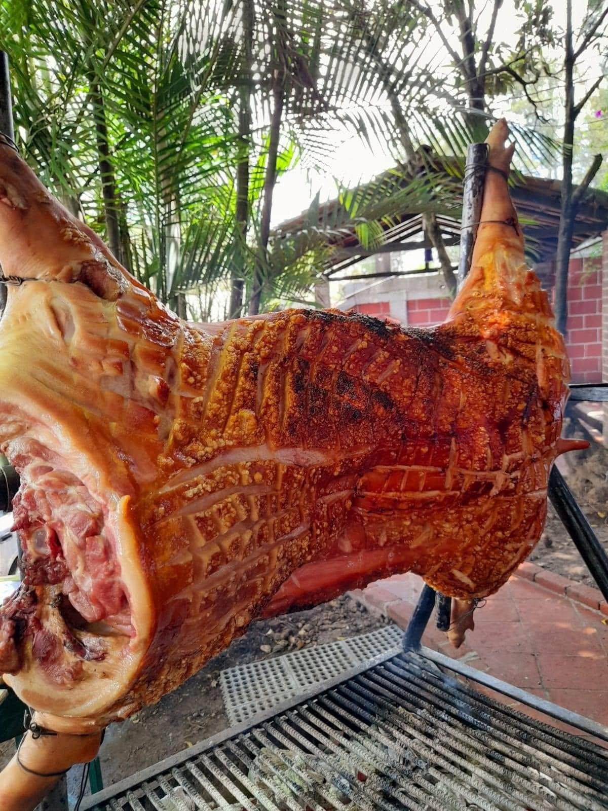 Cerdo asado Asados Tronco